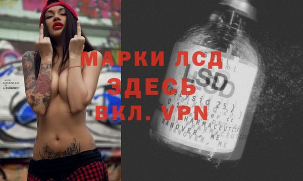 прущая мука Вяземский