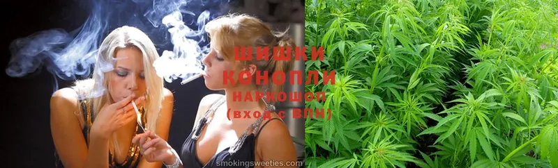 МАРИХУАНА SATIVA & INDICA  Камбарка 